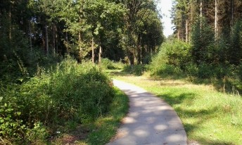 Gallery image mobile 3